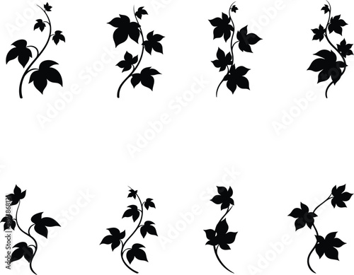Collection of black climbing ivy vine silhouettes vector illustration for botanical nature decoration and floral graphic design.