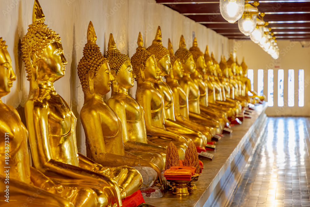 Fototapeta premium Row of golden Buddha statue in Thai temple, Different type of Buddhist statues on white wall in public area allowed zone at Wat Phra Sri Rattana Mahathat (Wat-Phra-Sri) Phitsanulok Province, Thailand.