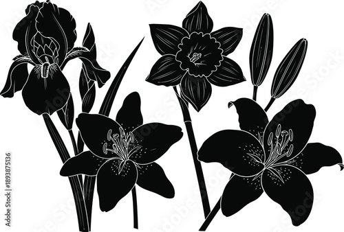 Flat Floral Silhouette Collection in Black