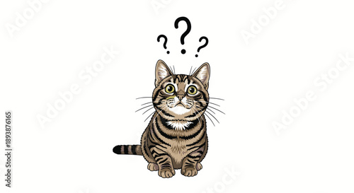 Confused Brown Tabby Cat Sitting Puzzled with Floating Question Marks Over Head Isolated on White Background.