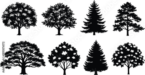 Tree silhouette set isolated on white background, deciduous and pine forest trees illustration collection for nature, landscape and botanical design vector