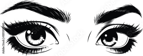 Black and White Female Eyes and Eyebrows Vector Illustration with Long Lashes Isolated on White Background for Beauty Makeup Design (20 words)