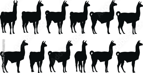 Llama silhouettes set collection isolated on white background, animal profile shapes, black vector illustration pack for design branding