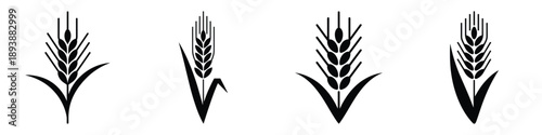 Barley and Wheat Ear Vector Icons - Minimalist Agriculture Cereal Grain Silhouette Set for Farming, Organic Bakery, and Brewery Logo Design