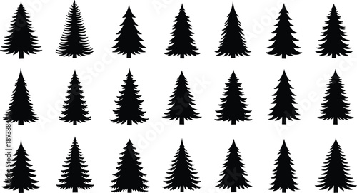 Black evergreen pine tree silhouettes set with various spruce and fir forest species isolated on white background for nature vector