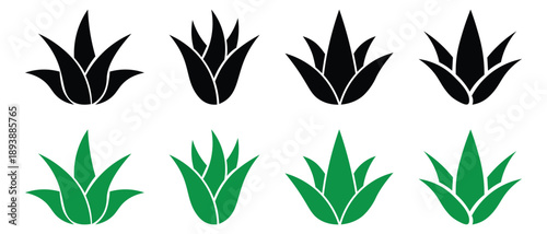 Collection of aloe vera silhouette glyph icons. Various aloe vera and succulent plants. Set of black and green aloe vera. Vector illustration. 