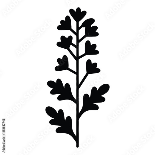 Canola Flower Branch Vector Silhouette - Agriculture Plant Stem and Mustard Seed Leaf Icon for Farming, Botanical Rapeseed Blossom Illustration for Organic Food Logo and Nature Design