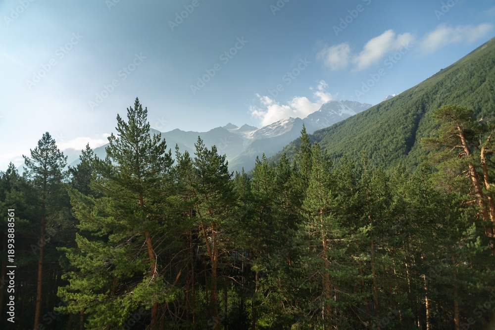 Obraz premium Mountain green hill valley landscape.