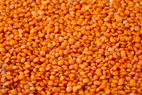 Dried legume food; red lentils