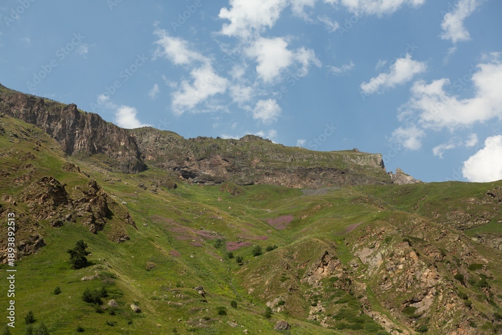 Fototapeta premium Mountain green hill valley landscape.