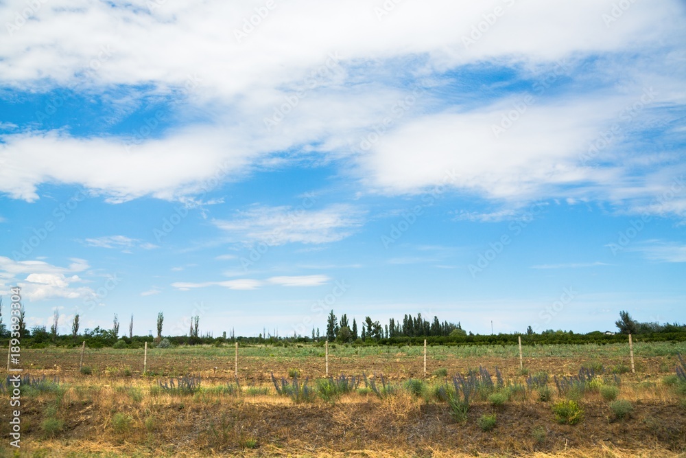 Fototapeta premium Beautiful hilly landscape in the foreground with blue sky