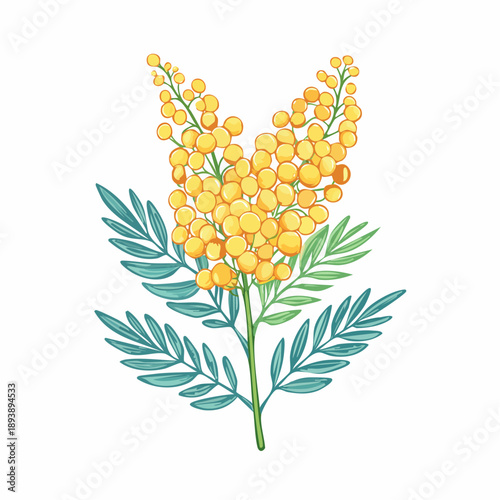 Elemento decorativo mimosa