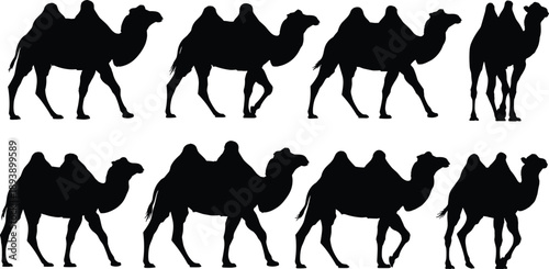 Collection, of, black, silhouettes, featuring, various, Bactrian, camels, with, two, humps, walking, and, standing, for, desert, travel, wildlife, and, design.