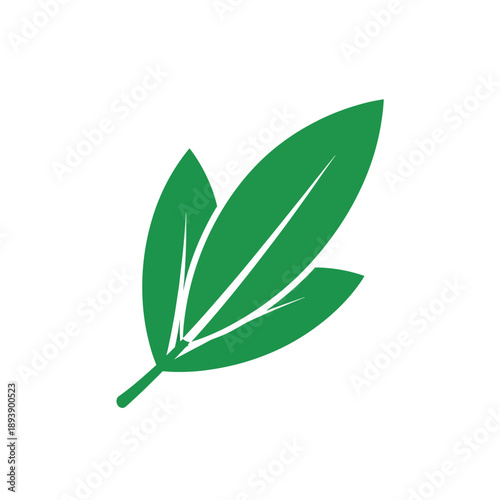 Green leaf icon