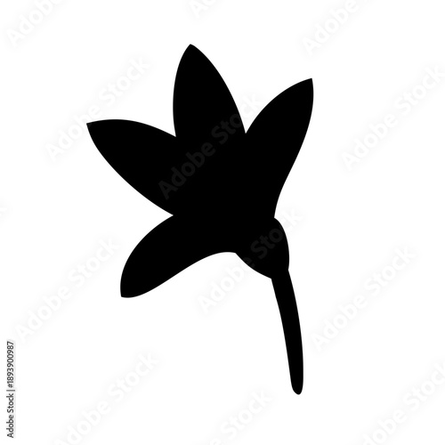 Watsonia Bourbonica Flower, Elegant Botanical Illustration