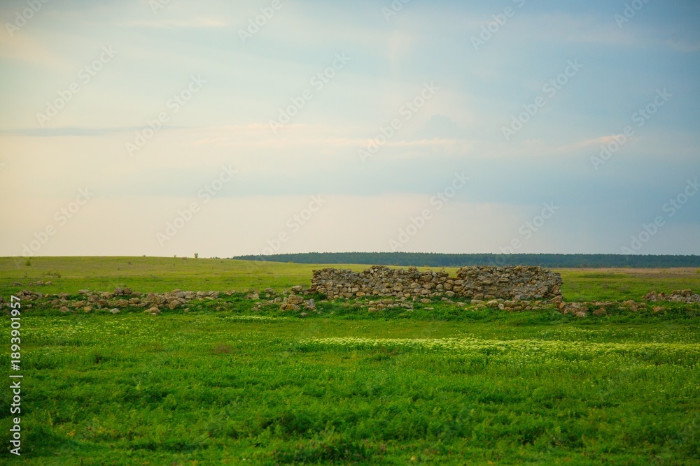Fototapeta premium Vibrant green lawn and natural landscape in summer