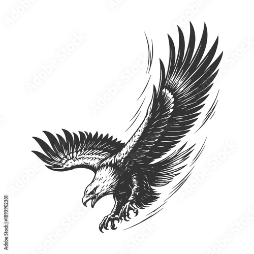 Dynamic eagle soaring vector illustration in detailed vintage woodcut style featuring a powerful bird of prey in flight with wings spread on white background.