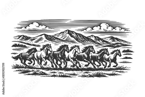 Herd of wild horses running across mountain plains in vintage engraving line art style vector illustration for western posters, prints and apparel