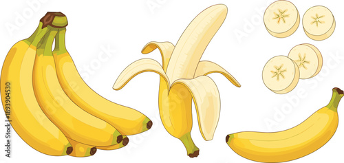 Bunch of bananas, peeled banana, and sliced banana pieces on white background Keywords: banana, fruit, food, healthy, nutrition