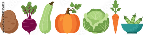 Fresh vegetable vector set with potato, beetroot, zucchini, pumpkin, cabbage, carrot, peas, and healthy organic food illustrations
