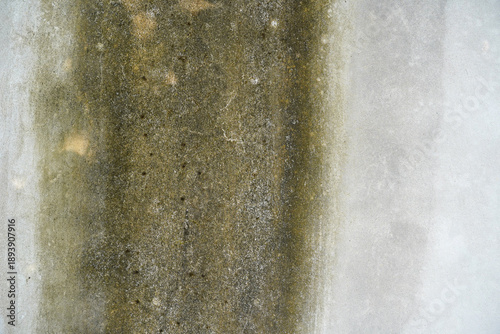 weathered concrete wall with green mold stains