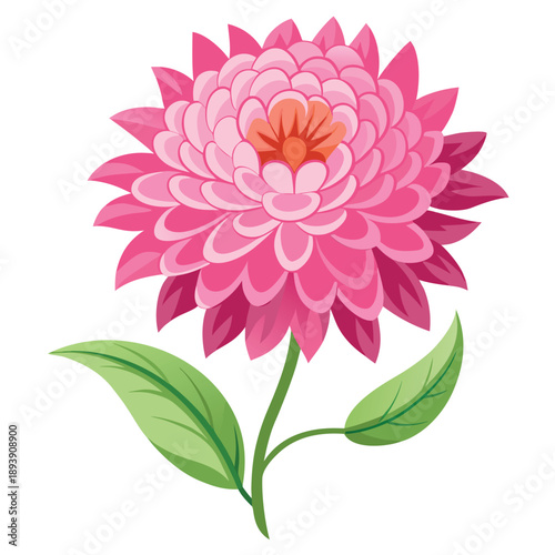 aster pink mexican flower vector