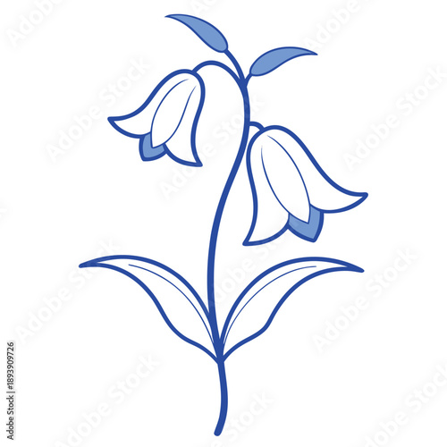 aconitum variegatum line art vector