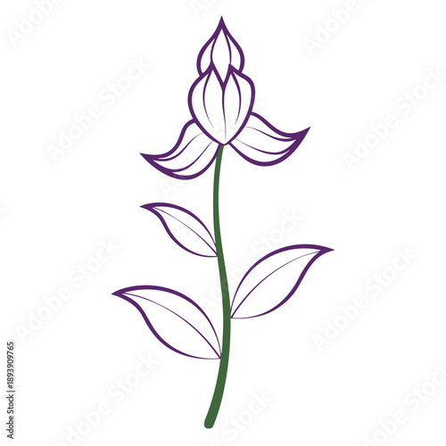 aconitum variegatum line art vector on white