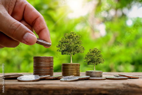 The tree growing on top of the pile of coins symbolizes financial growth, economic growth, and sustainable development.