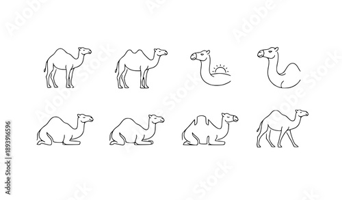 Minimal line camel logo symbol with editable stroke vector