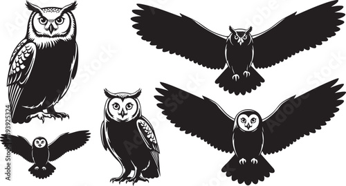 Black and white of owls in different poses bird birds