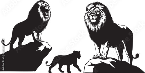 Black and white of two male lions and one lioness on rocks female lion