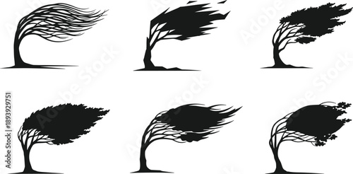Wind-blown tree silhouettes, strong wind effect, nature motion, stormy weather, environmental force, dramatic landscape, black vector illustration, isolated design