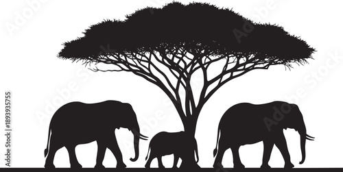 Black silhouette of three elephants and a tree white background