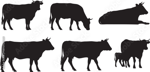 Black silhouettes of cows in various poses cattle white background