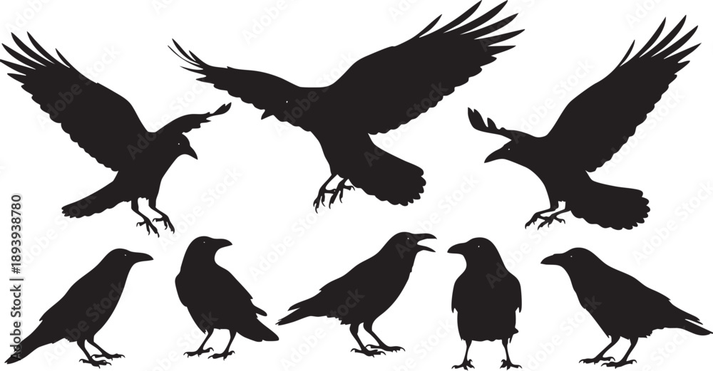 Fototapeta premium Black silhouettes of crows and ravens in various poses birds