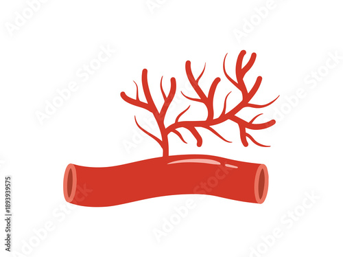 Hand Drawn Blood Vessel Angiogenesis