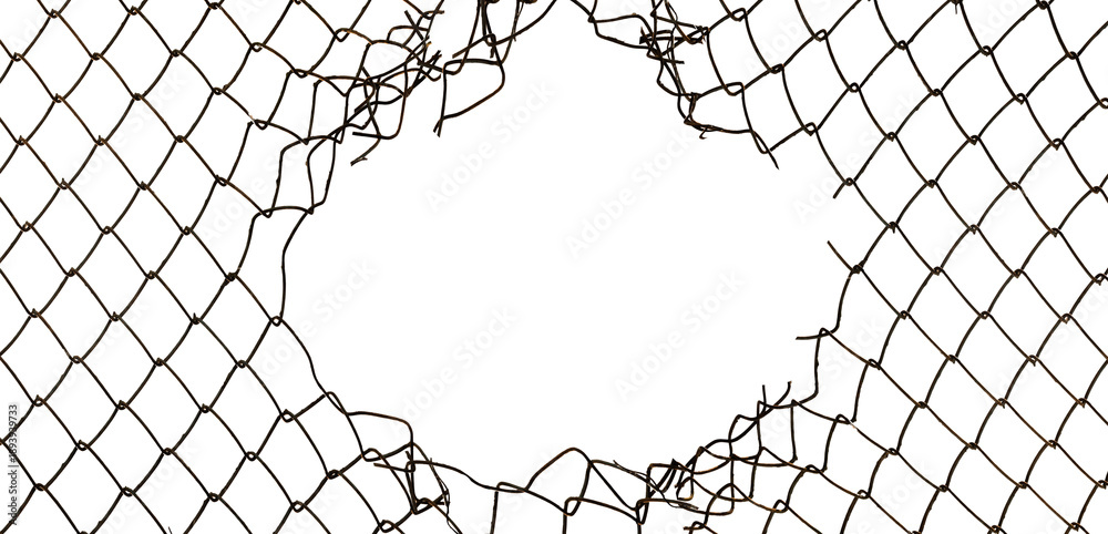 Wall Mural The texture of the metal mesh on a white background