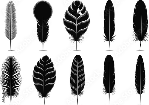 Set of diverse feather silhouettes for bird nature design, black plume vector icons for decorative avian projects, elegant quill figures for boho style, isolated.