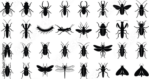 Large Collection Of Insect Silhouettes Featuring Beetles Spiders Ants Bees Butterflies Dragonflies And Other Common Bugs For Nature Education And Design