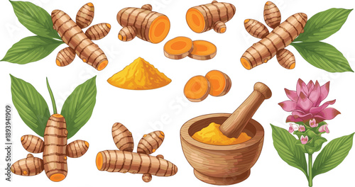 Turmeric rhizome, sliced turmeric, turmeric powder, herbal medicine, organic spice, natural remedy, botanical illustration, turmeric plant, culinary herb, ayurvedic root, healing spice