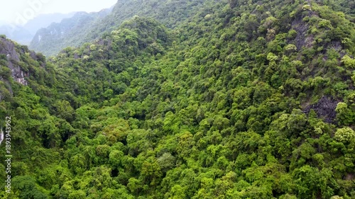 Aerial view of jungle hills and rugged terrain, Cat Ba, Vietnam