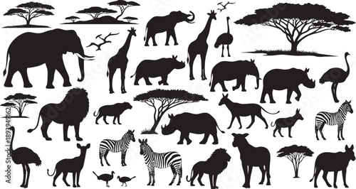 Black silhouettes of various african animals and trees on white background savanna