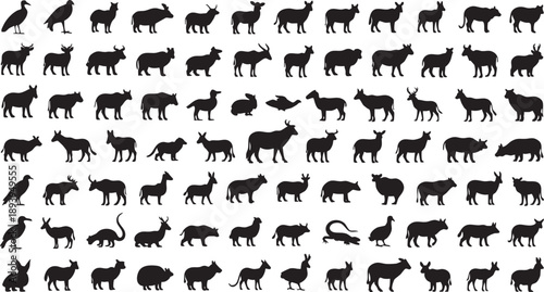 Black silhouettes of various animals on white background animal silhouettes black animals 1 wildlife animal silhouette collection
