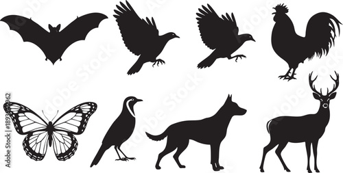 Black silhouettes of various animals on white background