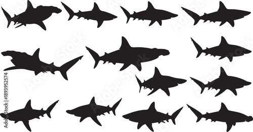Black silhouettes of various sharks on white background fish