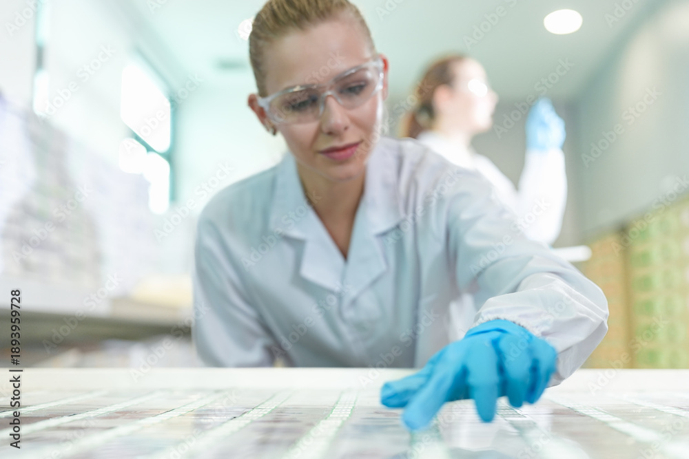 Obraz premium Forensic science experts inspecting DNA evidence on slides. Quality control technicians checking chemical test data in sterile pharmaceutical industry laboratory.