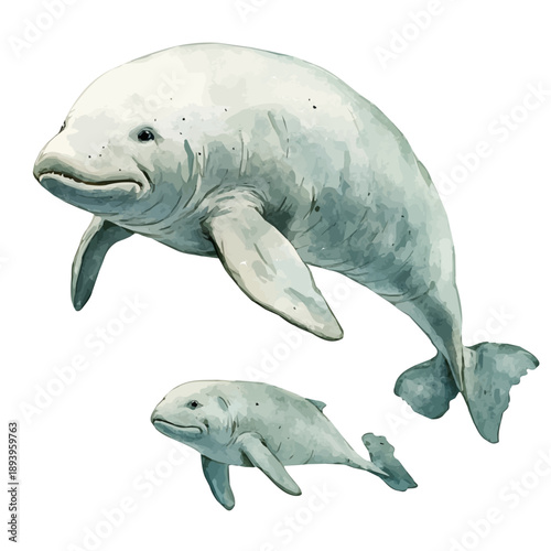 A Mother Dugong With Her Kid, beautiful watercolor illustration with vivid colors and detailed vector style, isolated on a white background.