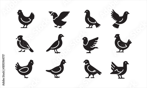 Collection of twelve black silhouette icons representing different bird species, including chickens, pigeons, and doves, displayed on a white background for graphic design.