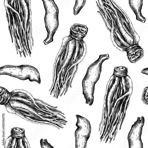 Medicinal herbs background. Angelica plant roots hand drawn vector illustration. Herbal medicine seamless pattern. Not AI generated.